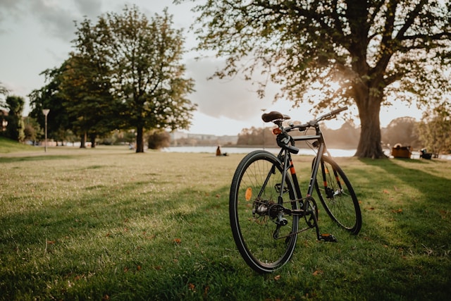 vélo et écologie