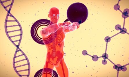 système immunitaire