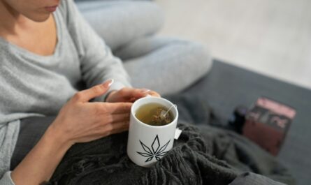 Tisane CBD Bio